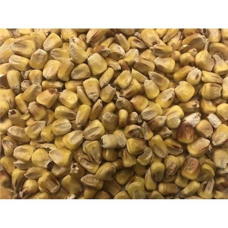 Prince Premium Feed Prince Premium Feed 1537 No. 50 Bin Run Whole Corn Bird Feed - 25 kg 1537